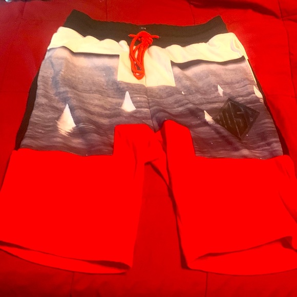 Hudson outerwear shorts - Picture 1 of 3
